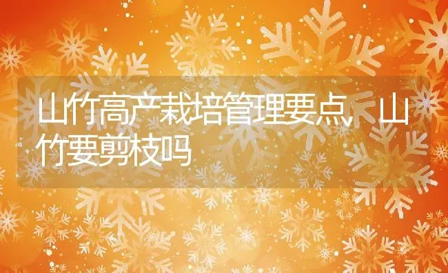 山竹高产栽培管理要点,山竹要剪枝吗 | 养殖学堂