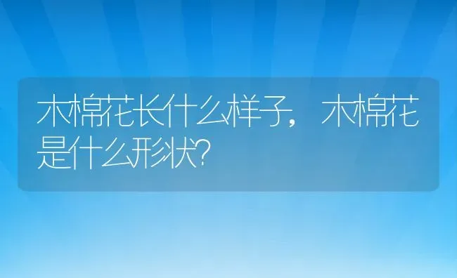 木棉花长什么样子,木棉花是什么形状？ | 养殖学堂