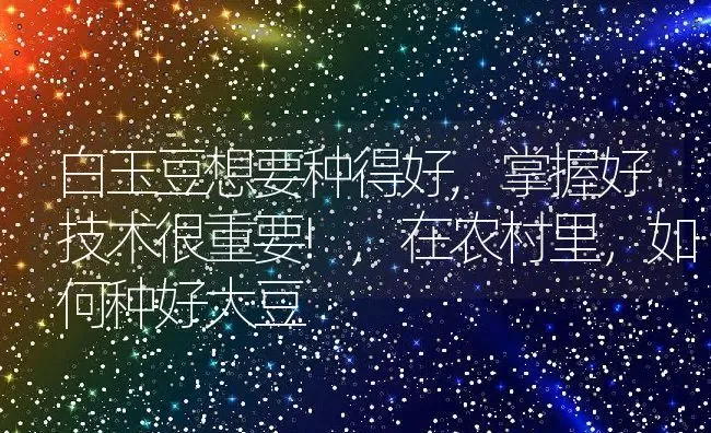 白玉豆想要种得好,掌握好技术很重要!,在农村里，如何种好大豆 | 养殖学堂