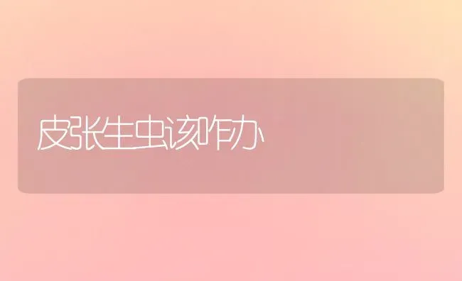皮张生虫该咋办 | 养殖技术大全