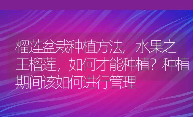 榴莲盆栽种植方法,水果之王榴莲，如何才能种植？种植期间该如何进行管理 | 养殖学堂