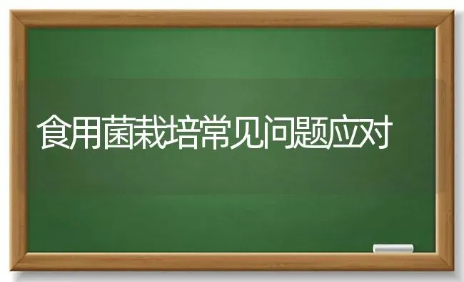 食用菌栽培常见问题应对 | 养殖技术大全