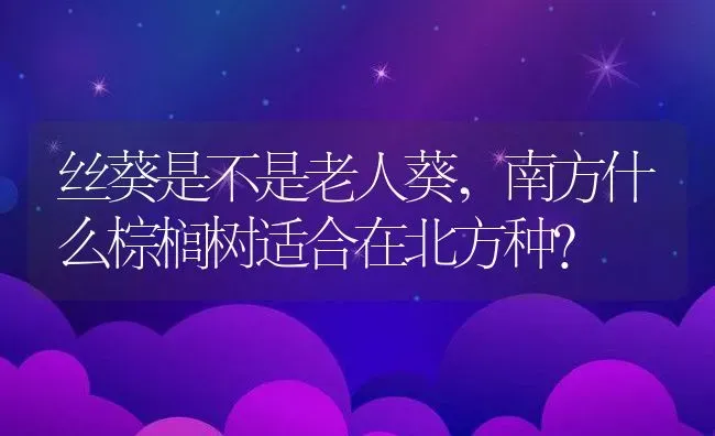 丝葵是不是老人葵,南方什么棕榈树适合在北方种？ | 养殖科普