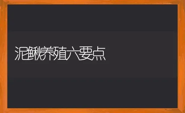 泥鳅养殖六要点 | 养殖知识