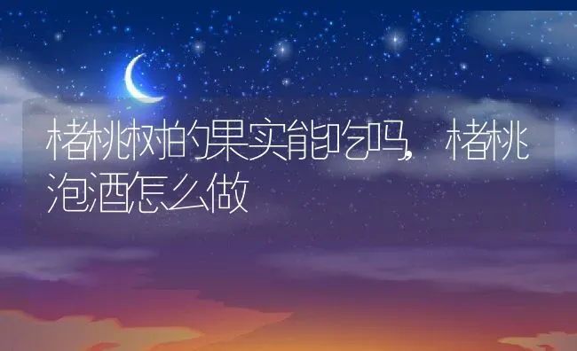 楮桃树的果实能吃吗,楮桃泡酒怎么做 | 养殖科普