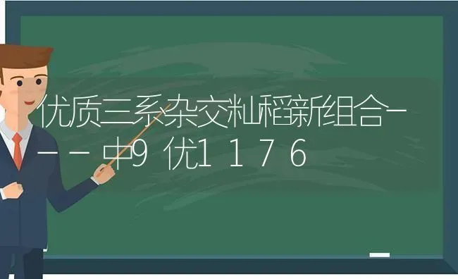 优质三系杂交籼稻新组合---中9优1176 | 养殖技术大全