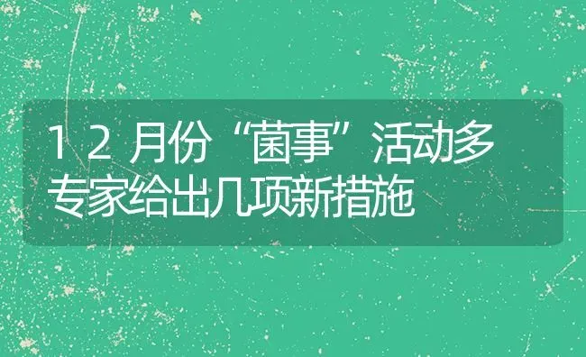 12月份“菌事”活动多 专家给出几项新措施 | 养殖知识