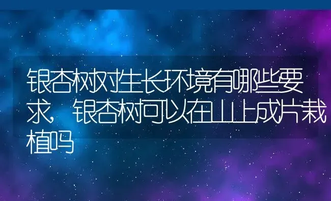 银杏树对生长环境有哪些要求,银杏树可以在山上成片栽植吗 | 养殖学堂