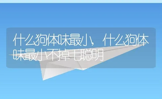 什么狗体味最小,什么狗体味最小不掉毛聪明 | 养殖科普