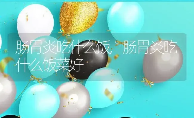 肠胃炎吃什么饭,肠胃炎吃什么饭菜好 | 养殖资料