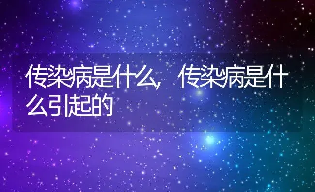 传染病是什么,传染病是什么引起的 | 养殖科普