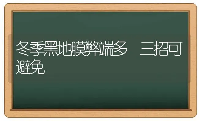 冬季黑地膜弊端多 三招可避免 | 养殖技术大全