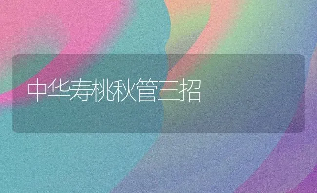 中华寿桃秋管三招 | 养殖技术大全