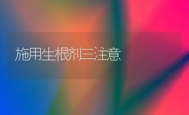 施用生根剂三注意 | 养殖知识