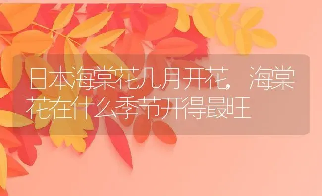 沙果是什么水果,沙果和海红果的区别 | 养殖学堂