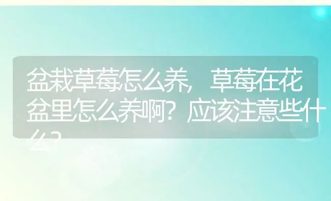 盆栽草莓怎么养,草莓在花盆里怎么养啊？应该注意些什么？ | 养殖科普