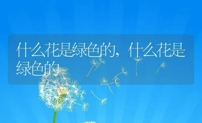 泰迪狗的禁忌,泰迪狗的禁忌水果 | 养殖科普