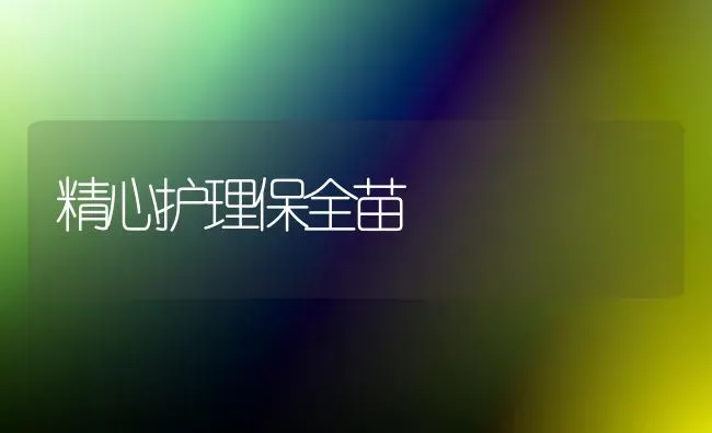 精心护理保全苗 | 养殖技术大全