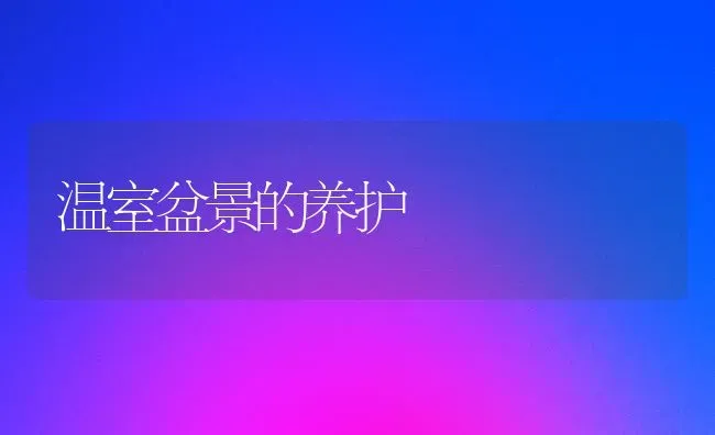 温室盆景的养护 | 养殖知识