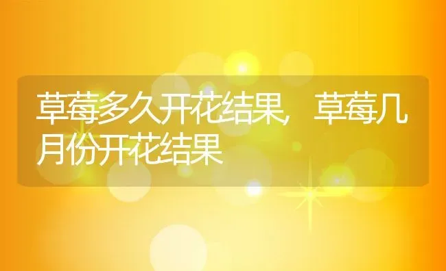 草莓多久开花结果,草莓几月份开花结果 | 养殖学堂