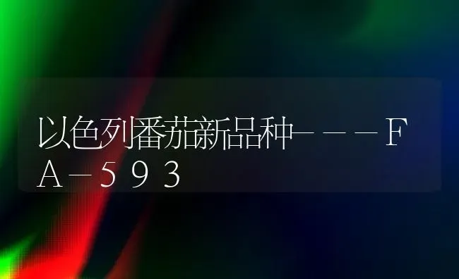 以色列番茄新品种---FA-593 | 养殖技术大全