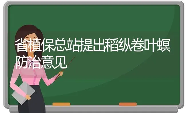 省植保总站提出稻纵卷叶螟防治意见 | 养殖技术大全