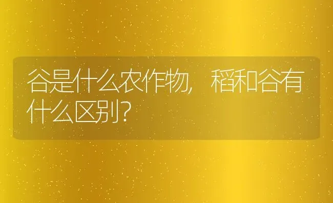 谷是什么农作物,稻和谷有什么区别？ | 养殖科普