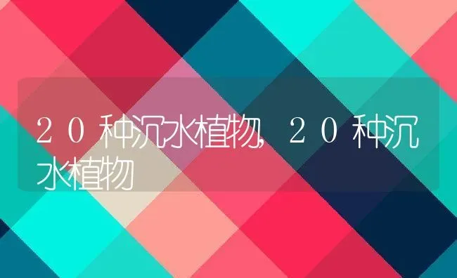 狗为什么喜欢舔人 | 养殖科普