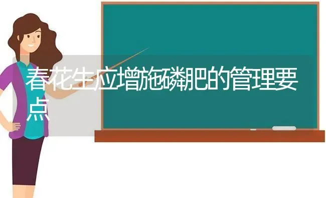 春花生应增施磷肥的管理要点 | 养殖知识