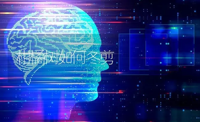 柑橘树如何冬剪 | 养殖技术大全
