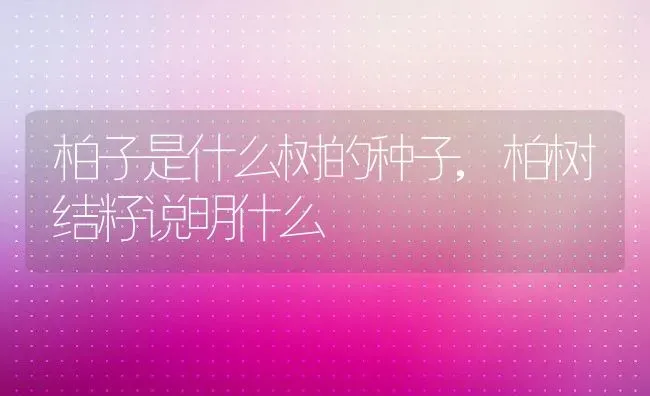 柏子是什么树的种子,柏树结籽说明什么 | 养殖学堂
