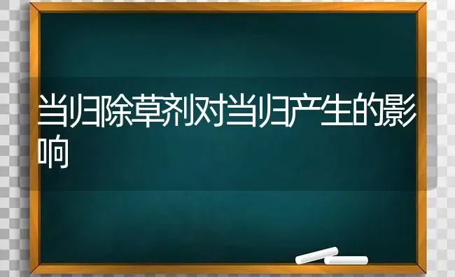 当归除草剂对当归产生的影响 | 养殖技术大全