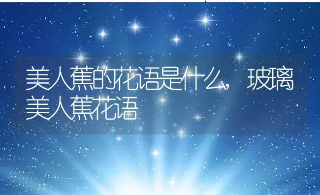 美人蕉的花语是什么,玻璃美人蕉花语 | 养殖学堂