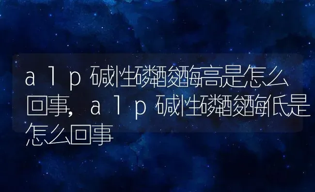 alp碱性磷酸酶高是怎么回事,alp碱性磷酸酶低是怎么回事 | 养殖资料