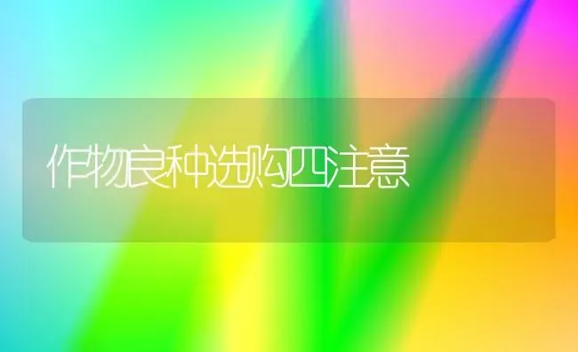 作物良种选购四注意 | 养殖知识