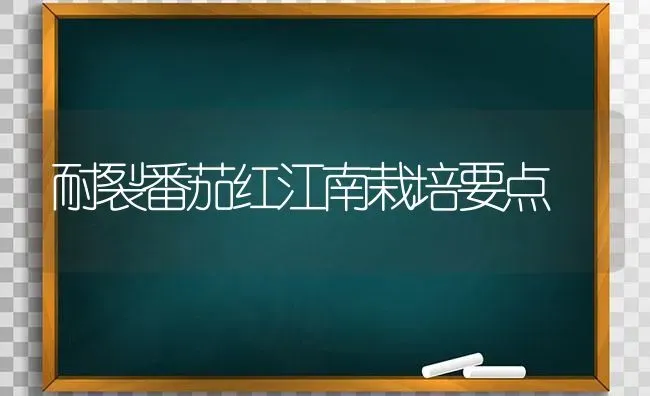 耐裂番茄红江南栽培要点 | 养殖知识