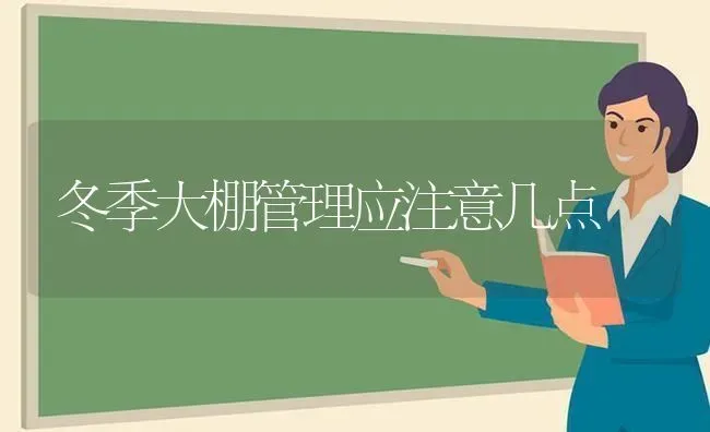 冬季大棚管理应注意几点 | 养殖技术大全