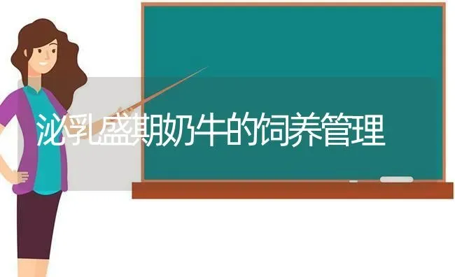 泌乳盛期奶牛的饲养管理 | 养殖知识