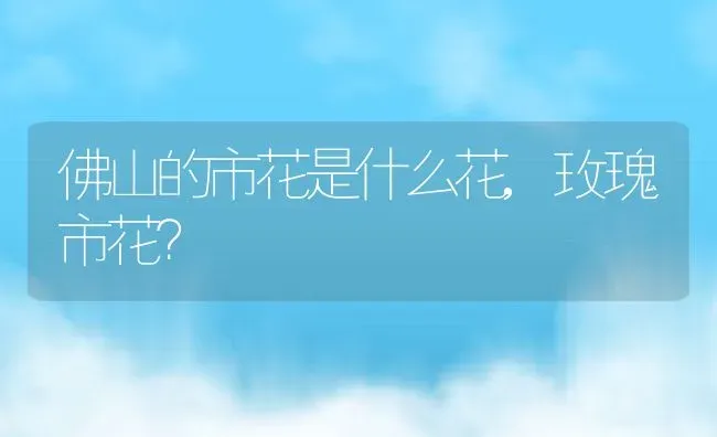 佛山的市花是什么花,玫瑰市花？ | 养殖科普