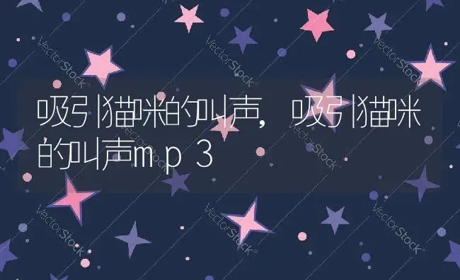 吸引猫咪的叫声,吸引猫咪的叫声mp3 | 养殖科普