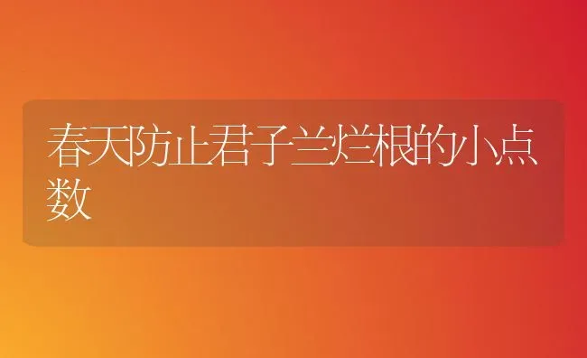 春天防止君子兰烂根的小点数 | 养殖技术大全