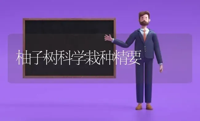 柚子树科学栽种精要 | 养殖技术大全