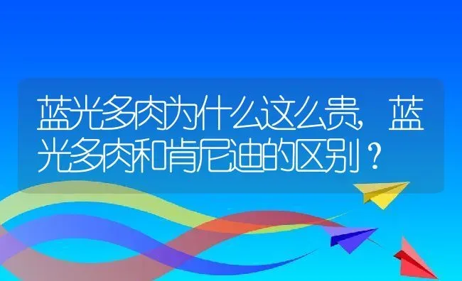 蓝光多肉为什么这么贵,蓝光多肉和肯尼迪的区别？ | 养殖科普