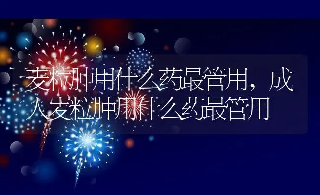 麦粒肿用什么药最管用,成人麦粒肿用什么药最管用 | 养殖资料