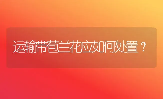 运输带苞兰花应如何处置? | 养殖技术大全