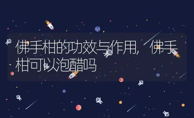 佛手柑的功效与作用,佛手柑可以泡醋吗 | 养殖学堂