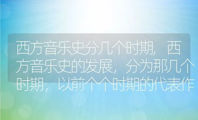 西方音乐史分几个时期,西方音乐史的发展，分为那几个时期，以前个个时期的代表作？ | 养殖科普