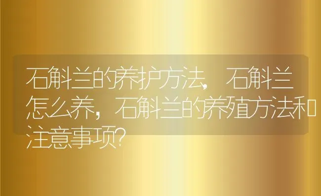 石斛兰的养护方法,石斛兰怎么养，石斛兰的养殖方法和注意事项？ | 养殖科普