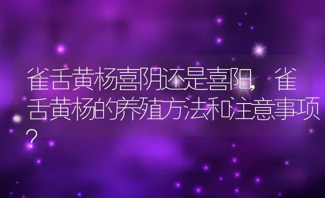 雀舌黄杨喜阴还是喜阳,雀舌黄杨的养殖方法和注意事项？ | 养殖科普