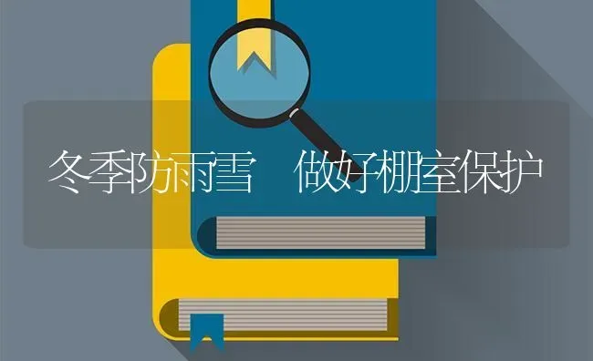 冬季防雨雪 做好棚室保护 | 养殖技术大全